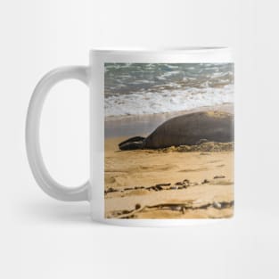 Hawaiian monk seal Mug